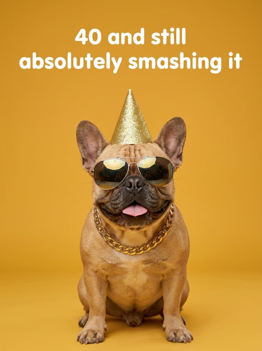 Still Smashing It Cool Frenchie 40th Birthday Card: 40 and still absolutely smashing it